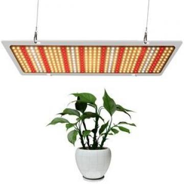 240RF02 Timken  d 240 mm Cylindrical roller bearings