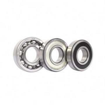 21313 CW33 Loyal 65x140x33mm  Weight 2.45 Kg Spherical roller bearings