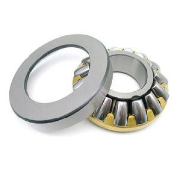 29338 M Loyal D1 308 mm  Thrust roller bearings