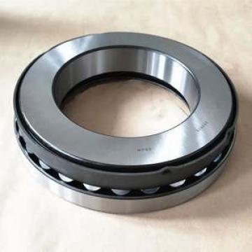 29426 M Loyal  C 41 mm Thrust roller bearings