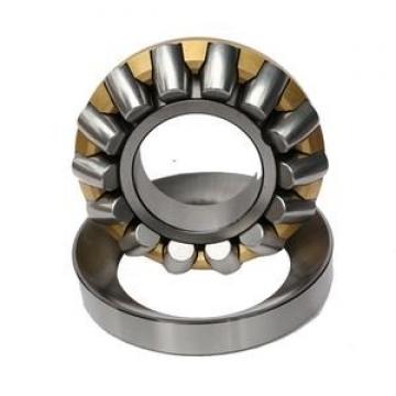 29452 M Loyal  D 480 mm Thrust roller bearings