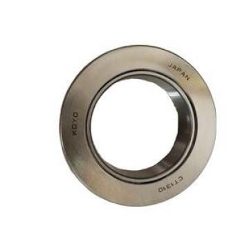 SI15ET-2RS LS W 21 mm  Plain bearings