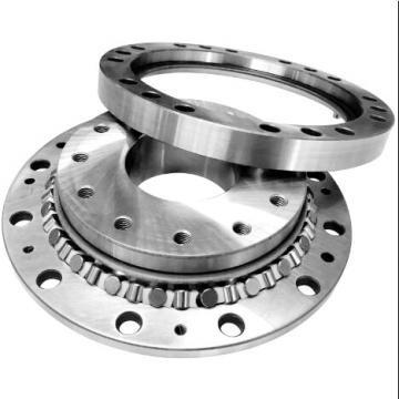 NRXT8016DD crossed roller bearing