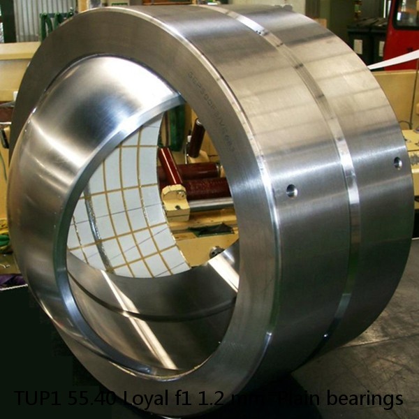 TUP1 55.40 Loyal f1 1.2 mm  Plain bearings