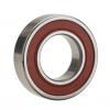 ***NEW*** NSK 6003ZZC3 ROLLER BEARING 6003ZZC3E C SRIS5 MADE IN USA #1 small image