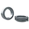 SL045004-PP INA 20x42x30mm  Bore 0.787 Inch | 20 Millimeter Cylindrical roller bearings #1 small image