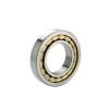 NSK NJ226W series Cylindrical Roller Bearing Removable Inner Ring Flanged