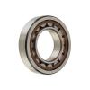 SKF NU313ECP, NU 313 ECP, Single Row Cylindrical Roller Bearing #1 small image