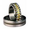 NEW SKF NN 3016 KTN/SPW33 Super Precision Cylindrical Roller Bearing #1 small image