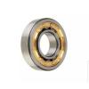 FAG BEARING NJ2313-E-M1A-C3