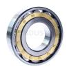 FAG BEARING N316-E-M1-C3 #1 small image