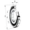 FAG BEARING N238-E-M1-C3