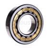 FAG BEARING NJ317-E-M1