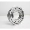 6002-2Z - NSK - METRIC BALL BEARING - METAL SHIELD