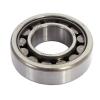 NSK NU205W Single Row Roller Bearing ! NEW ! #1 small image
