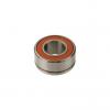 BD25-9 NSK New Single Row Ball Bearing