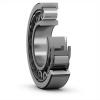 22217AEXK NACHI 85x150x36mm  Calculation factor (Y1) 2.47 Cylindrical roller bearings