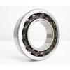 NIB SKF 7204 BEP ANGULAR CONTACT BEARING 7204BEP NEW #1 small image