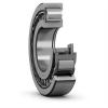 SKF NUP 213 ECJ/VS111 New Bearing