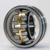 BRAND NEW SKF - 22220 E - Spherical Roller Bearing, Bore 100mm FREE SHIPPING #1 small image