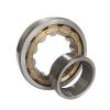 NU2306ETCCP6 NSK New Cylindrical Roller Bearing #1 small image