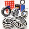 NSK Bearing 22218.CJ.W33.C3