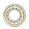 NEW SKF NU 322 ECM/C3 Cylindrical Roller Bearing #1 small image