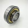 SKF NU 320 ECML/C3 #1 small image