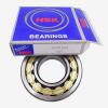 FAG BEARING NU2217-E-M1-F1-C3