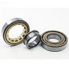 SKF NJ 2310 ECML/C3