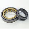 FAG BEARING NJ407-M1A-C3