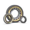 FAG BEARING NU2326-E-MPA-C3