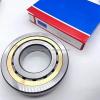 FAG BEARING NUP219-E-M1A-C4 #1 small image