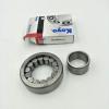 FAG BEARING NU236-E-M1A-C3 #1 small image