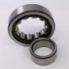 FAG BEARING NU2244-EX-M1-C3