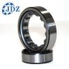 FAG BEARING NU2313-E-JP1