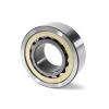 FAG BEARING NU219-E-M1A-C3 #1 small image