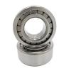 FAG BEARING NJ1007-M1-C3