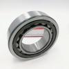 FAG BEARING NUP2219-E-M1-C3