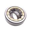 FAG BEARING NUP2328-E-M1