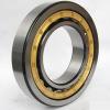 SKF NUP 2215 ECML/C3