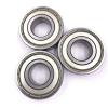SL1829/500 INA 500x670x100mm  D 670 mm Cylindrical roller bearings #1 small image