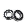 6004 Full Ceramic Bearing ZrO2 Ball Bearing 20x42x12mm Zirconia Oxide #1 small image