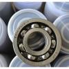 NSK 6007V Single Row Sealed Ball Bearing New Without Box