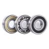 NSK Deep Groove Bearing 6305ZZ #1 small image