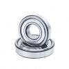 New NSK 6203VVC3 Bearing