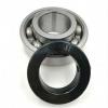 6311 55x120x29mm C3 2Z ZZ Metal Shielded NSK Radial Deep Groove Ball Bearing