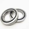 6203 17x40x12mm Open Unshielded NSK Radial Deep Groove Ball Bearing #1 small image