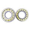 RHP N206 C3 Cylindrical Roller Bearing Separable Outer Race