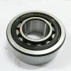 RHP N202 Roller Bearing ! NEW ! #1 small image